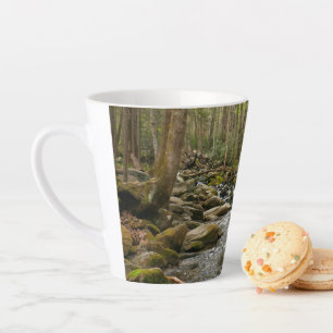 LeConte Creek auf den Großen Smoky-Bergen Milchtasse
