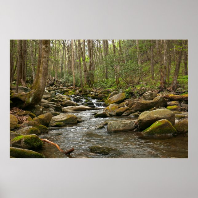 LeConte Creek auf den Großen Smoky-Bergen Poster (Vorne)