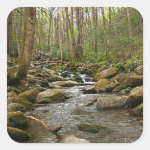 LeConte Creek auf den Großen Smoky-Bergen Quadratischer Aufkleber