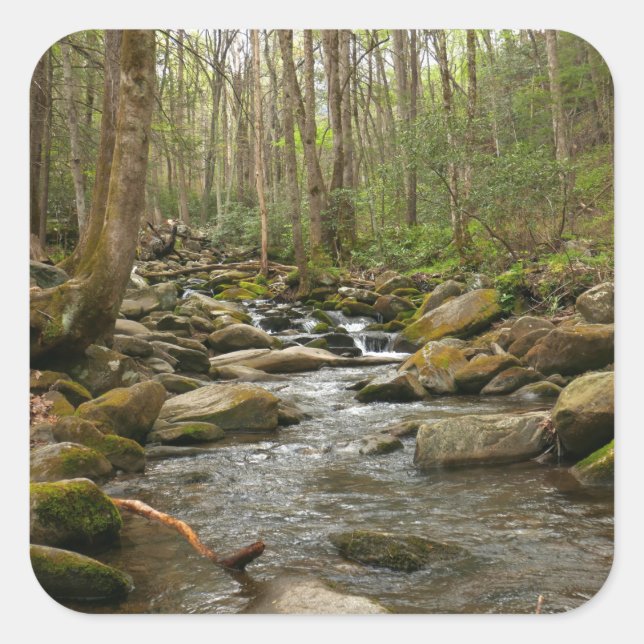 LeConte Creek auf den Großen Smoky-Bergen Quadratischer Aufkleber (Vorderseite)