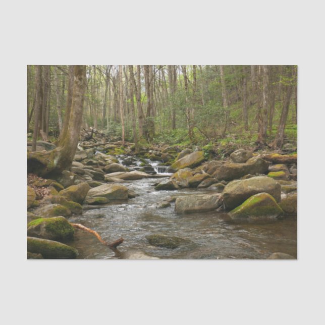 LeConte Creek auf den Großen Smoky-Bergen Seidenpapier (Vorderseite)
