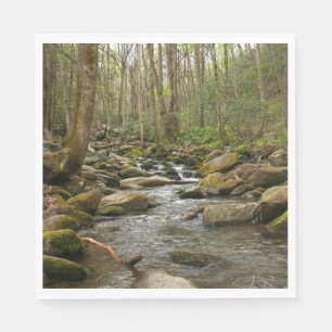 LeConte Creek auf den Großen Smoky-Bergen Serviette