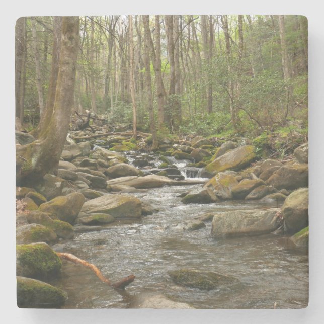 LeConte Creek auf den Großen Smoky-Bergen Steinuntersetzer (Vorderseite)