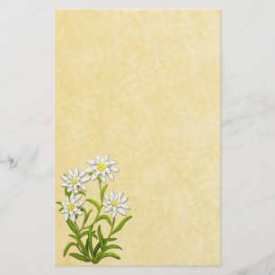 L'edelweiss suisse fleurit la papeterie