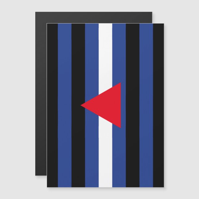 Leder Queer Pride-Flagge Magneteinladung (Vorne/Hinten)