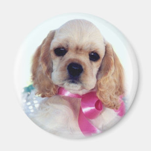 Lederfarbener Cockerspanielwelpenmagnet Magnet