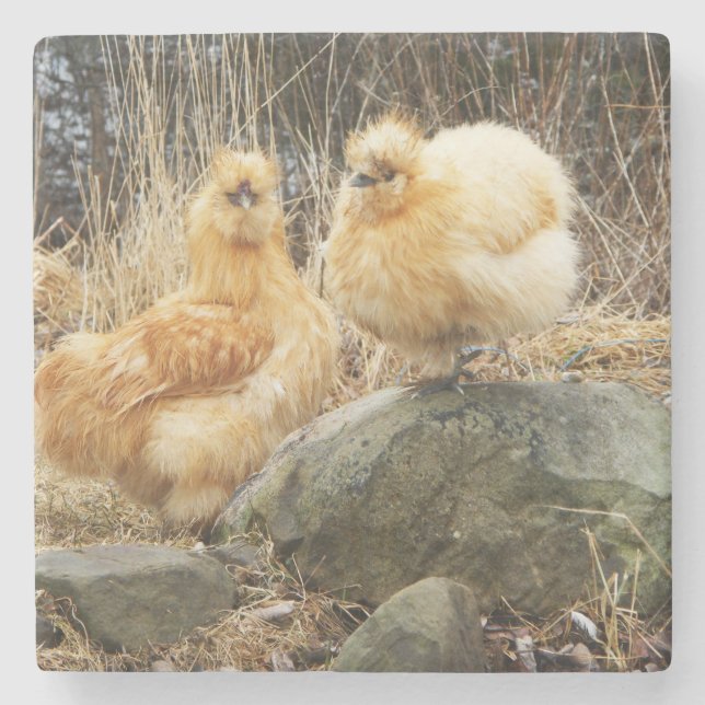 Lederfarbener Silkie Huhn-Untersetzer Steinuntersetzer (Vorderseite)