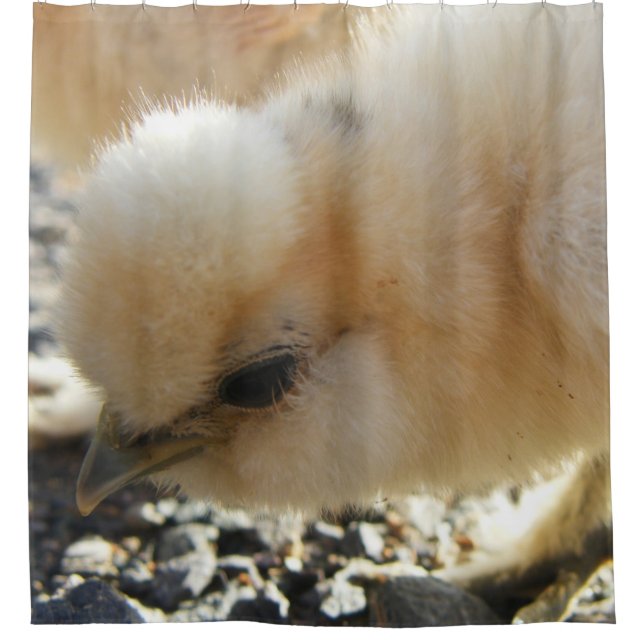 Lederfarbenes Silkie Huhnküken Duschvorhang (Vorderseite)