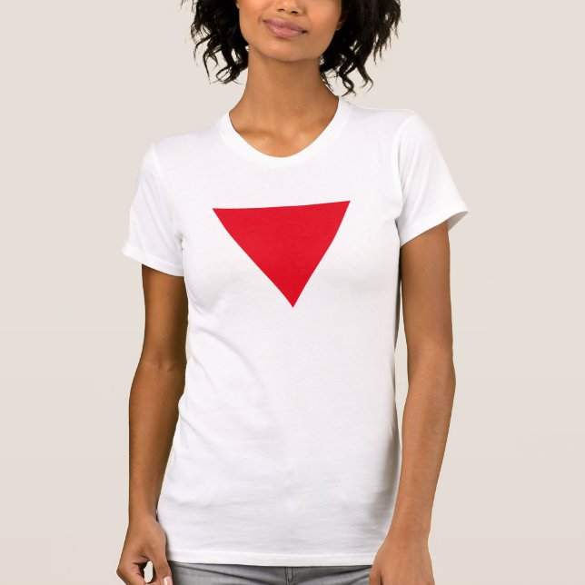 Lederner queer Stolz T-Shirt (Vorderseite)