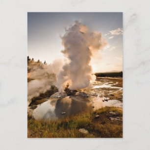 Ledge Geyser, Norris Geyser-Becken Postkarte