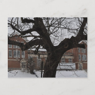 Lee High Postkarte