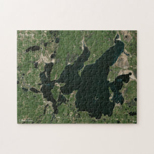 Leech See-Puzzle