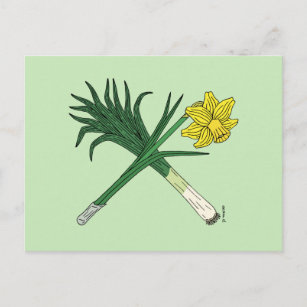 Leek und Daffodil Crossed Postkarte