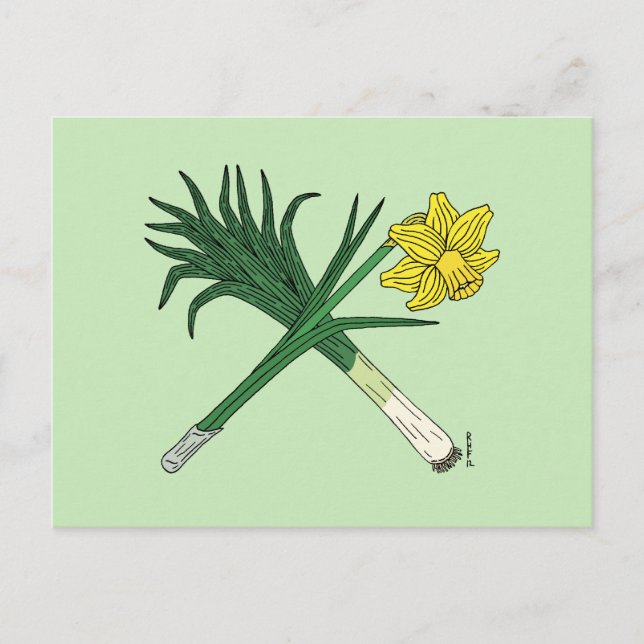 Leek und Daffodil Crossed Postkarte (Vorderseite)