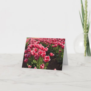 Leen Van Der Mark Tulips, Oregon Karte