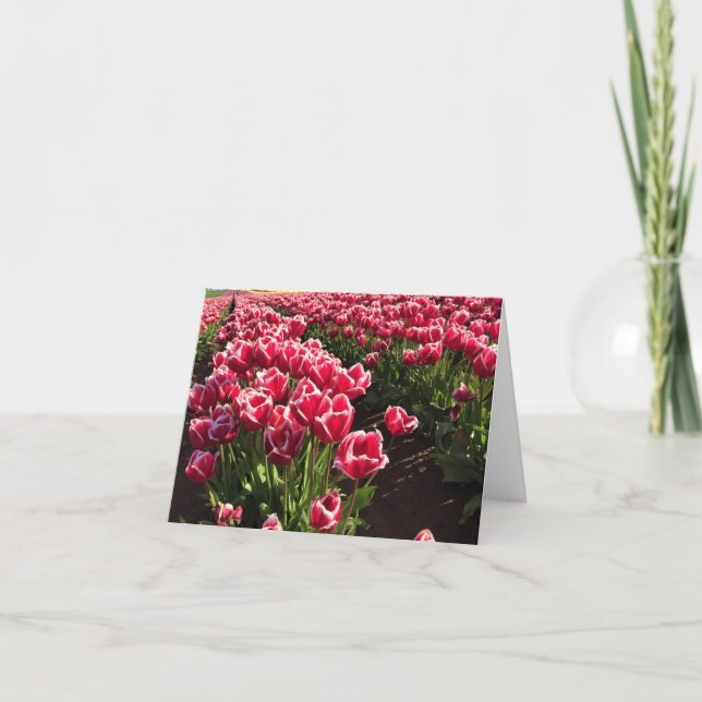 Leen Van Der Mark Tulips, Oregon Karte (Vorderseite)