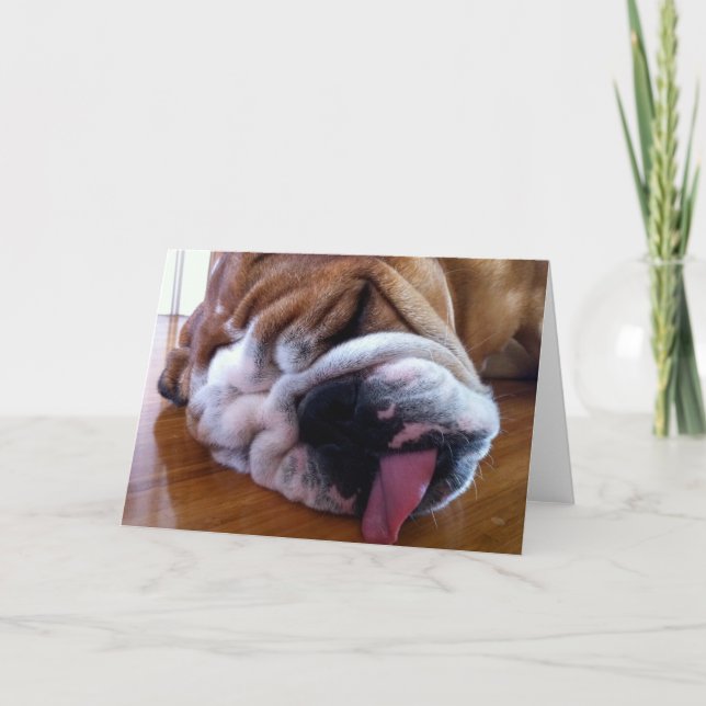 Leere englische Bulldoggen-Gruß-Karte Karte (Vorderseite)