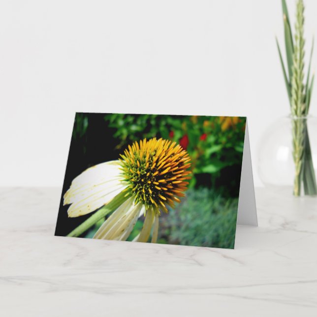 Leere Gruß-Karte Karte (Vorderseite)