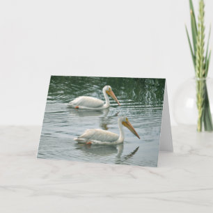 Leere Gruß-Karte mit Pelikan-Foto Karte
