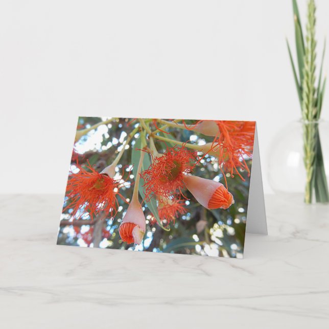 Leere Gruß-Karte - orange Gummi-Baum-Blumen Karte (Vorderseite)