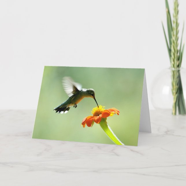 Leere Grußkarte mit Kolibri und Blume Karte (Vorderseite)