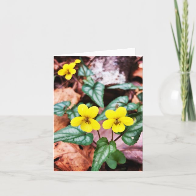 Leere Grußkarte mit Naturthema Karte (Vorderseite)