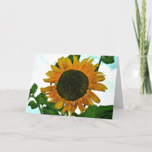 Leere Grußkarte mit Sonnenblume-Foto Karte