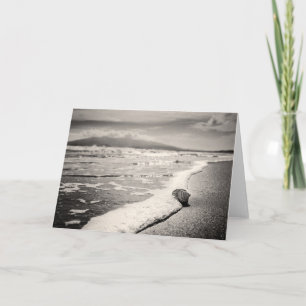 Leere Grußkarte - SeeMuschel auf Strand Karte