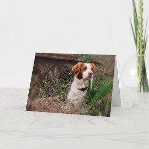 Leere Karte Bretagne