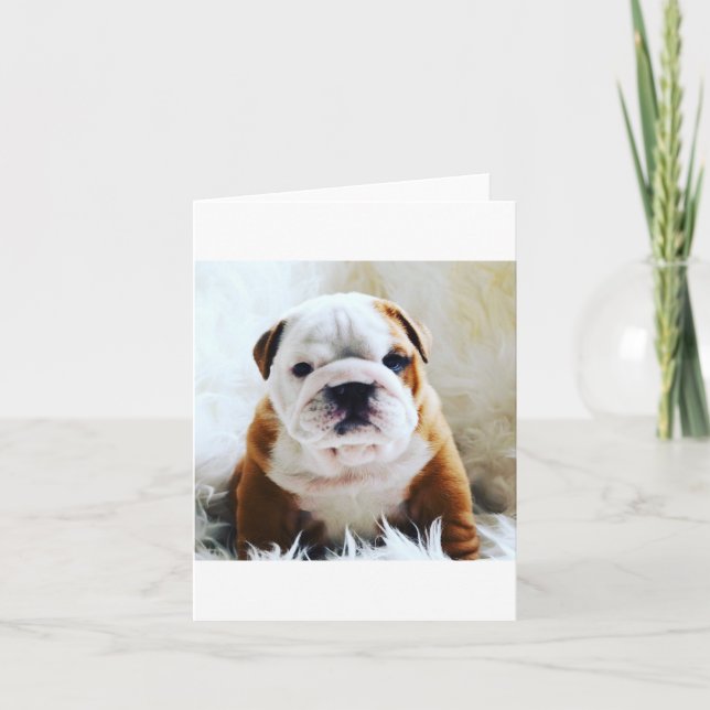 Leere Karte der britischen Bulldogge (Vorderseite)