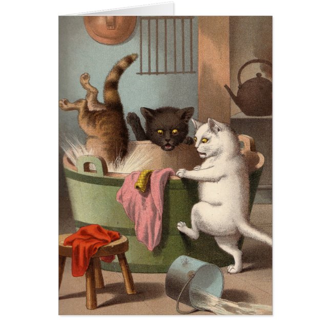 Leere Karte - freche Katzen-Reihe - Katzen Washday (Vorne)