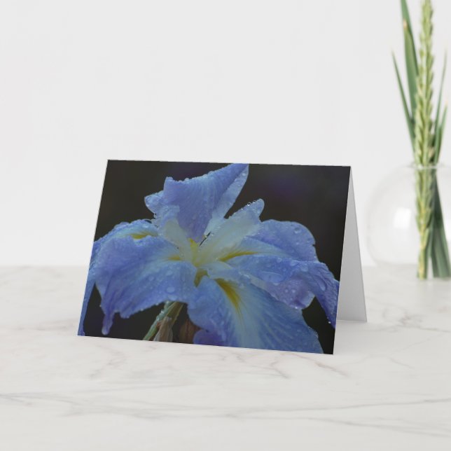 Leere Karte - Iris (Vorderseite)