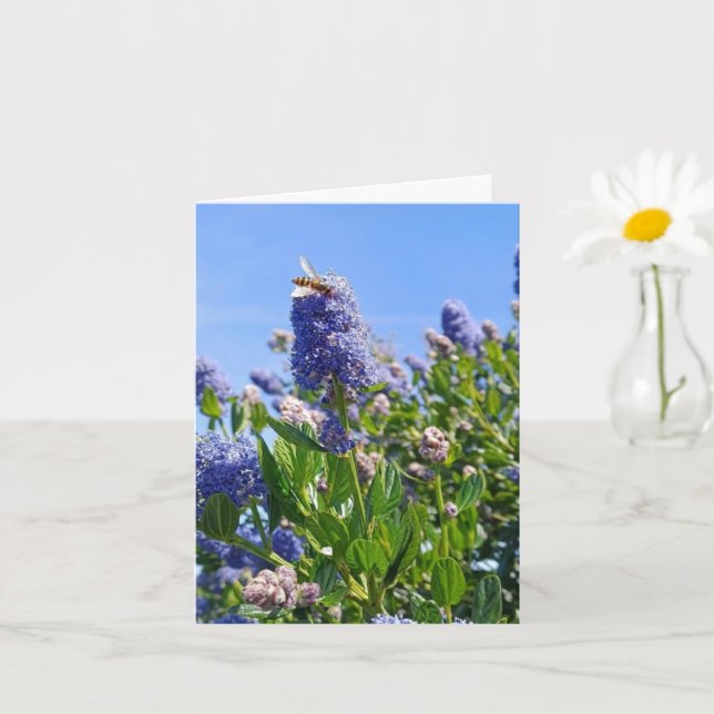 Leere Karte mit lila Blumen (Kleine Pflanze)