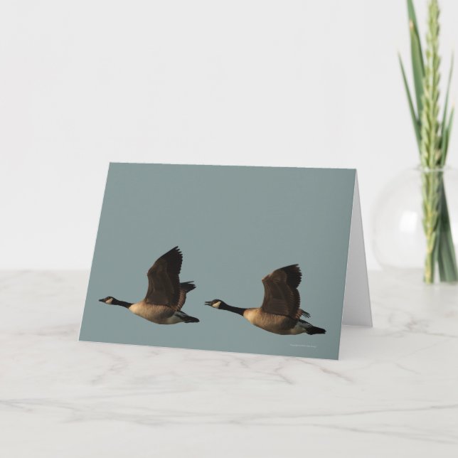 Leere kundengerechte Fliegen-Gans-Karte Karte (Vorderseite)