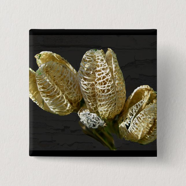 Leere Lily Seed Pods Koordinaten von Elementen Button (Vorderseite)