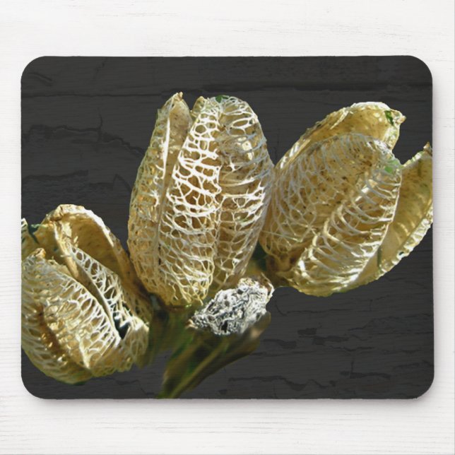 Leere Lily Seed Pods Koordinaten von Elementen Mousepad (Vorne)