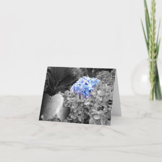 Leere Notecard blaue Blumen-Schwarzweiss-Entwurf Karte