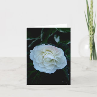Leere weiße Blume Karte