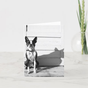 leeres Hundnotecard Karte