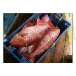 Leerkarte mit Hintergrund des roten Schnappschusse