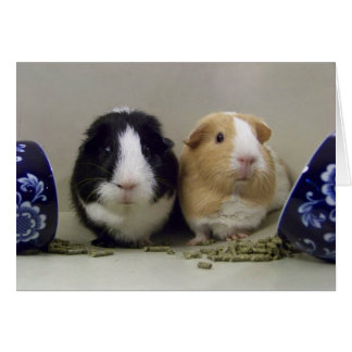 Leerlaufkarte "Tea-Time"