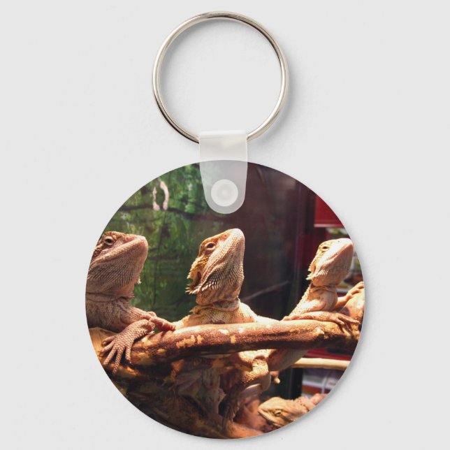 Leezard Trio Schlüsselanhänger (Vorderseite)