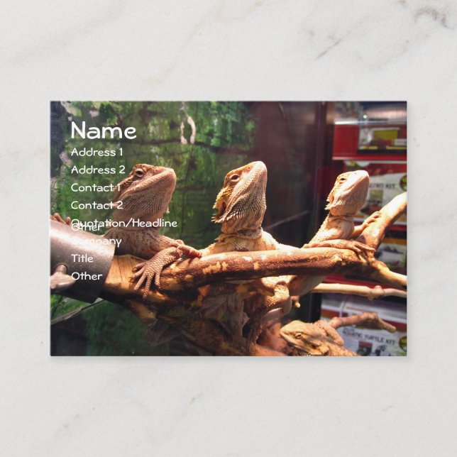 Leezerds Visitenkarten Visitenkarte (Vorderseite)