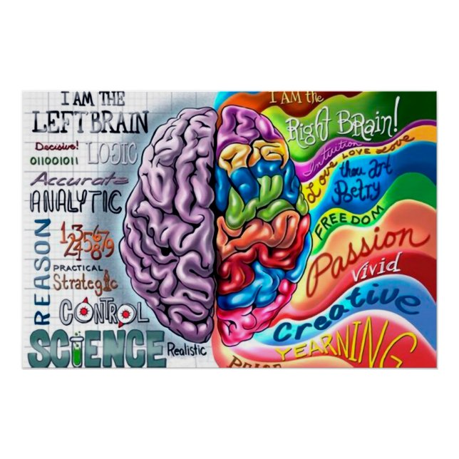 Left and right side of the brain poster (Vorderseite)