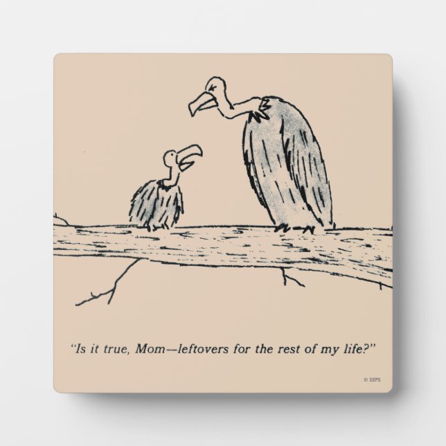 Leftovers Fotoplatte (Vorderseite)