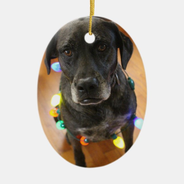 Lefy + Ornement de Hoiday de lumières (Devant)