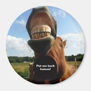 Lege mich zurück! Pferdemagnet Magnet