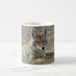 Legen des Kojote-R22 Kaffeetasse