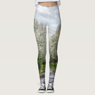 Leggings Accueil du lecteur Spring