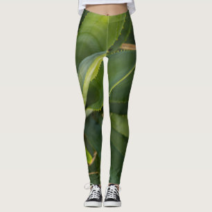 Leggings Aloe Vera